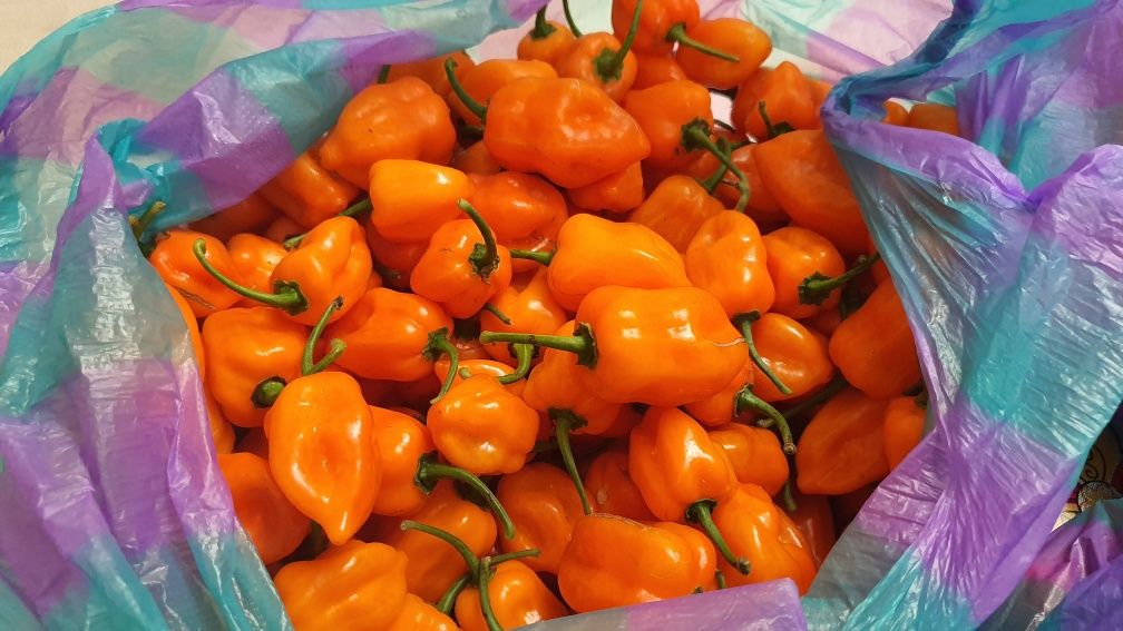 Острый соус "Жгучая Клюква" с перцем Trinidad Scorpion