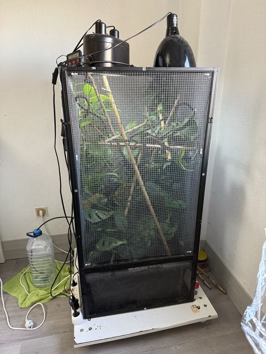 Terrário 1,22cm para camaleão com base com rodas