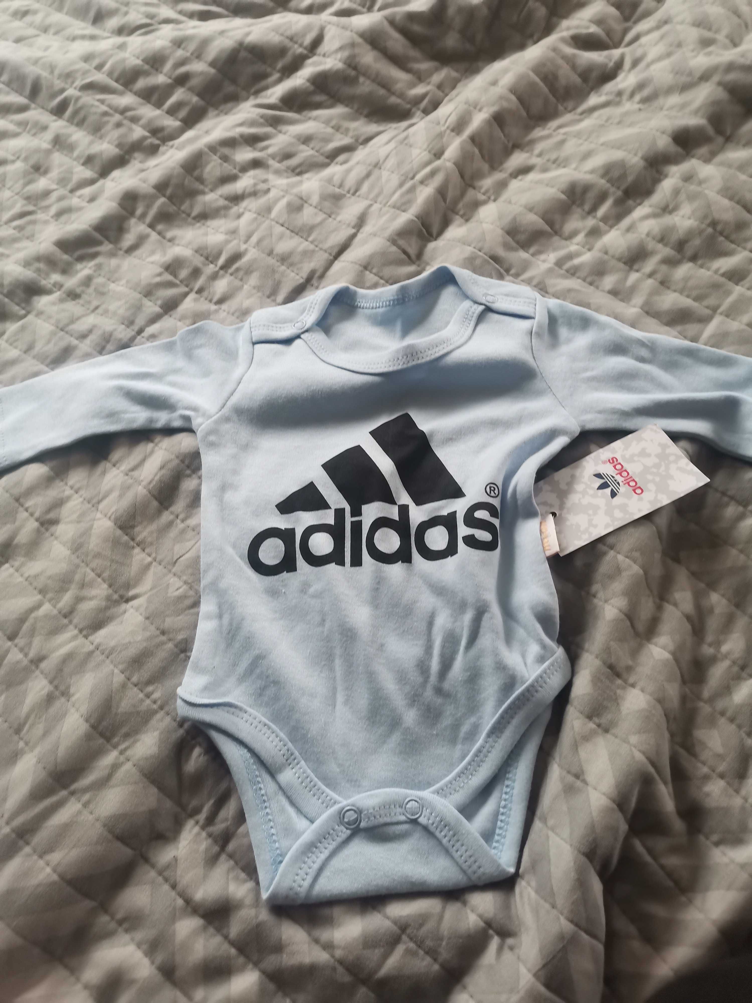 Body adidas dla chłopca