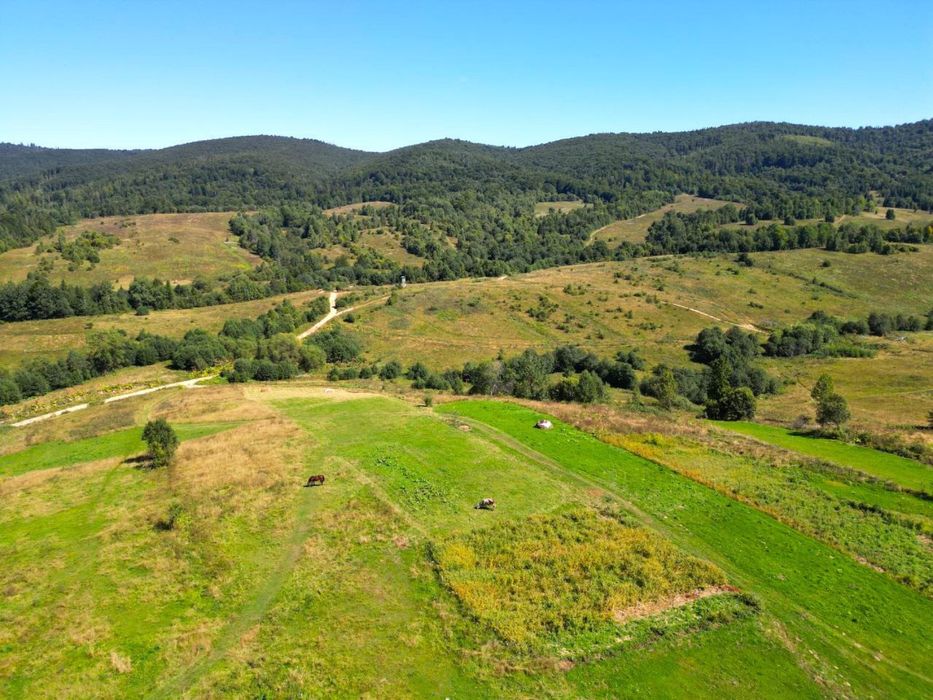 Земельна ділянка в карпатах