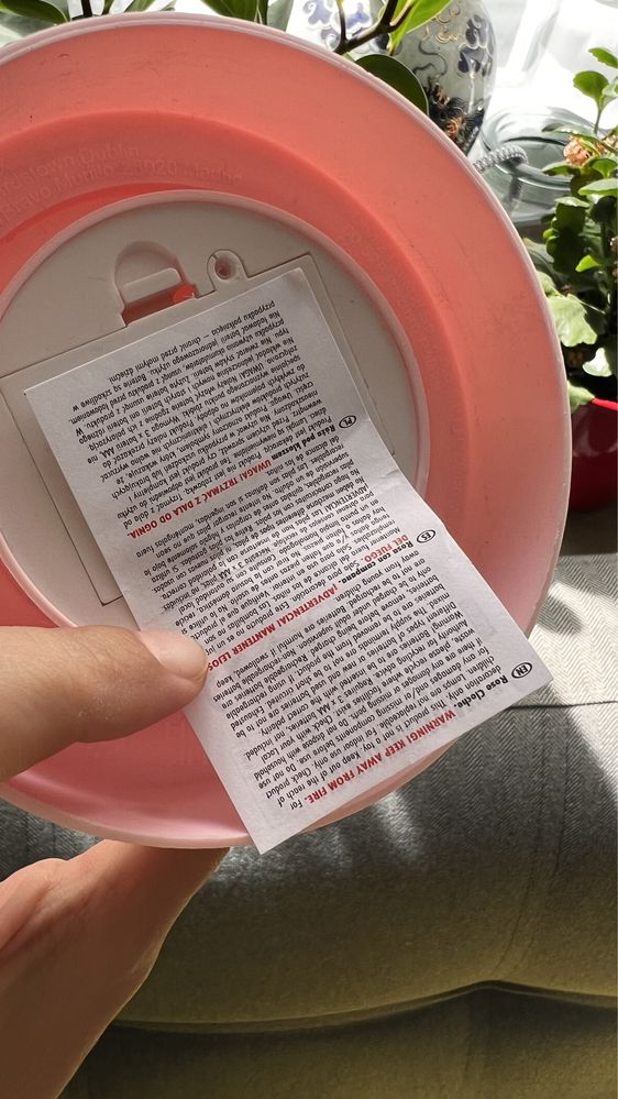 Róża dekoracyjna w kloszu