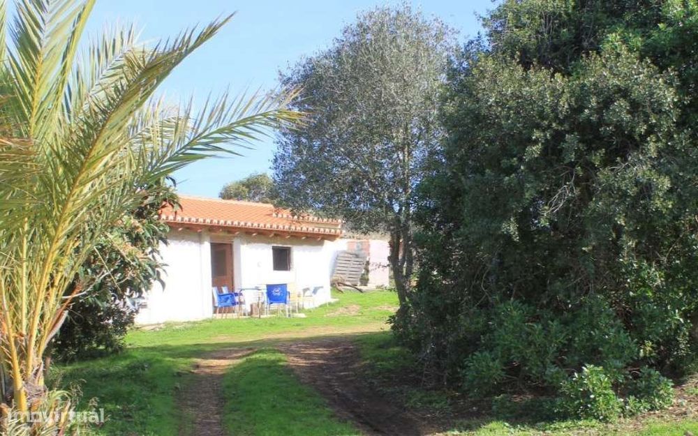 Quintinha Medronheira