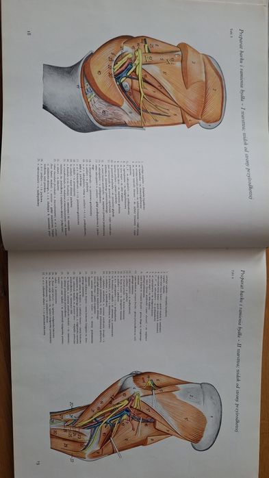 Atlas Anatomii Topograficznej Zwierząt Gospodarskich
