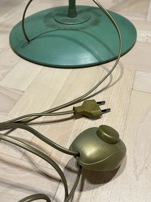 Zielona lampa stojąca kwiatek roslina z lisciami