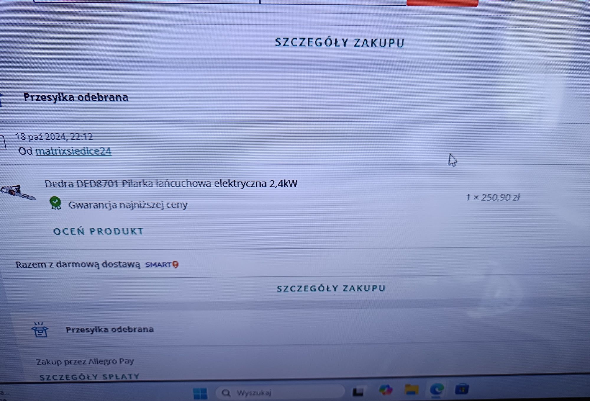 Dedra Pilarka łańcuchowa 2,4 KW