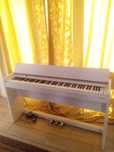 Піаніно Roland Digital Piano F-140R