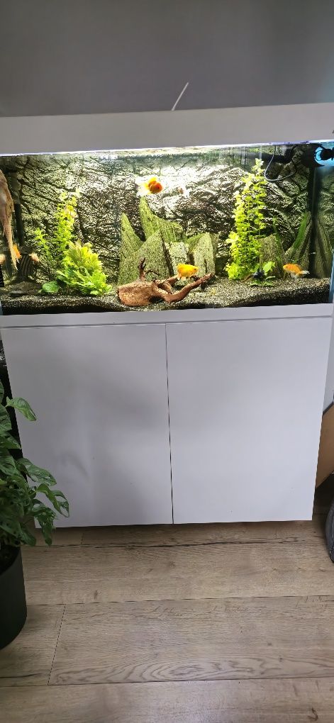 Akwarium aquael 200l