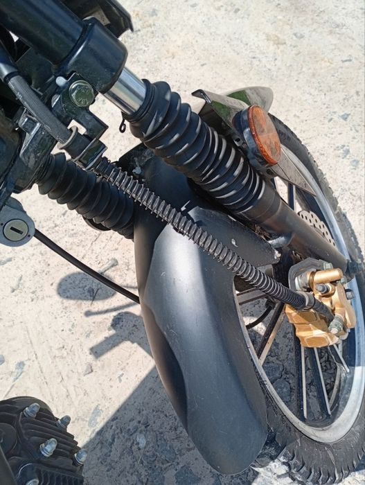 Mustang 125 Fit 2024