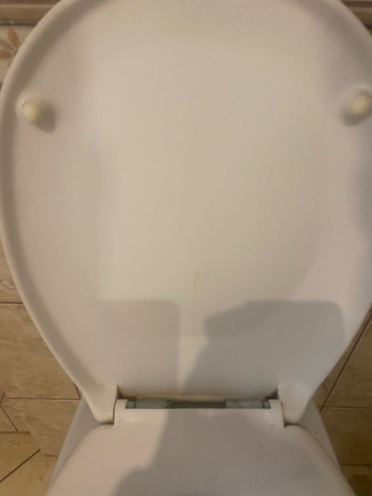 Klapa WC kremowa 45/37 cm