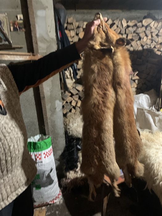 Сова сувенір різні є