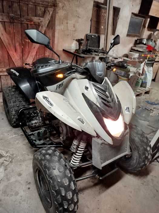 Quad Dinli Masai 300