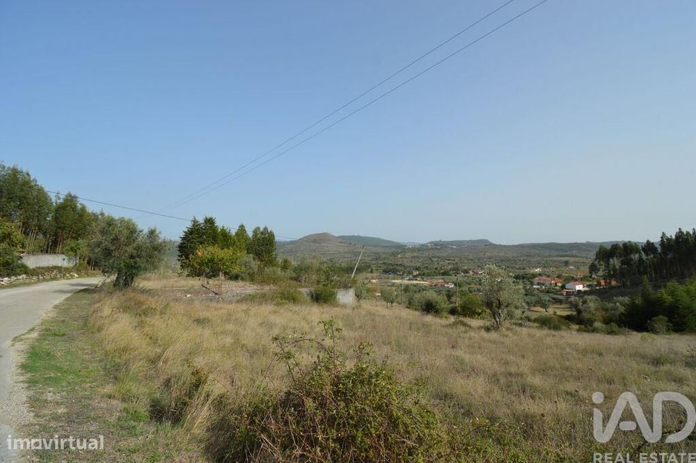 Terreno em Alvorge de 3365,00 m2