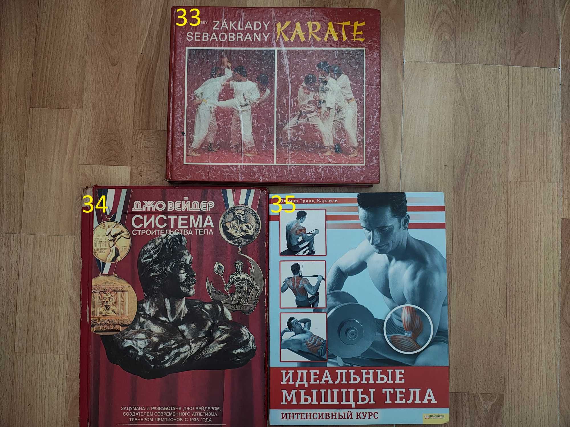 книга/книги по боевым искусствам/Карате/Кунфу/Ушу
