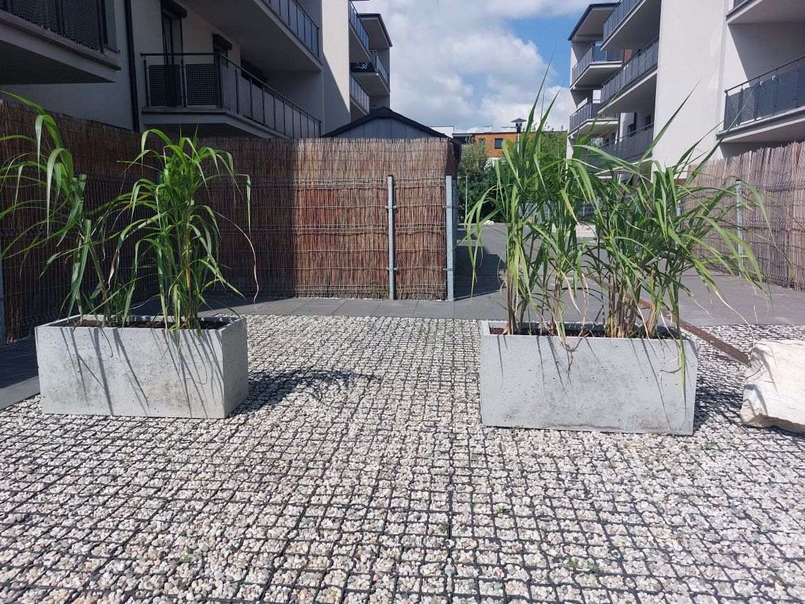 Donice betonowe z betonu architektonicznego