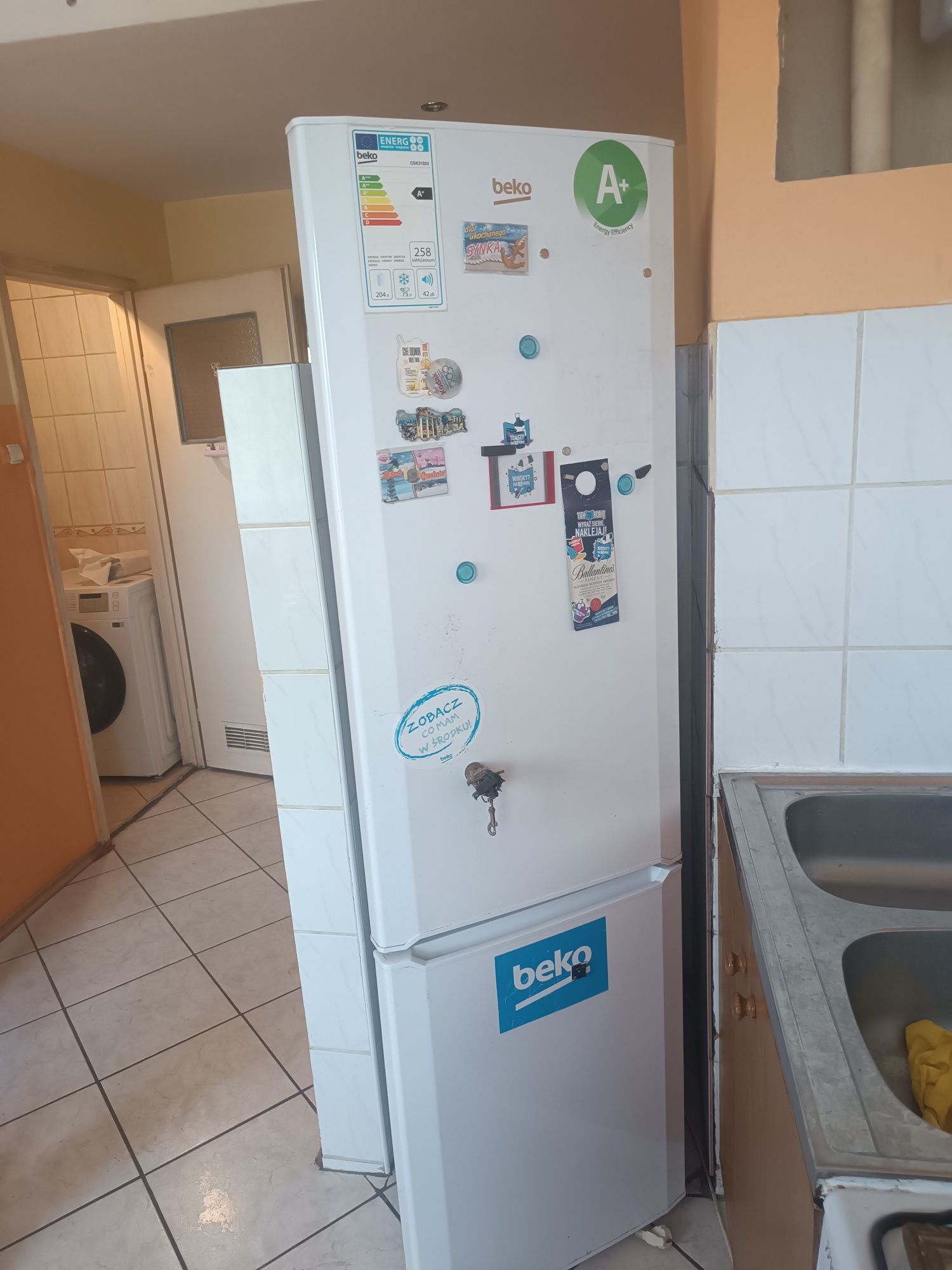 Pralka i lodówka