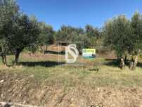 Terreno Com Projecto Aprovado - Sardoal (Azinhaga da Dabada)