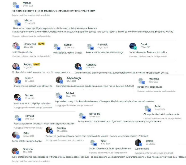 Amatitlania nigrofasciata marble red