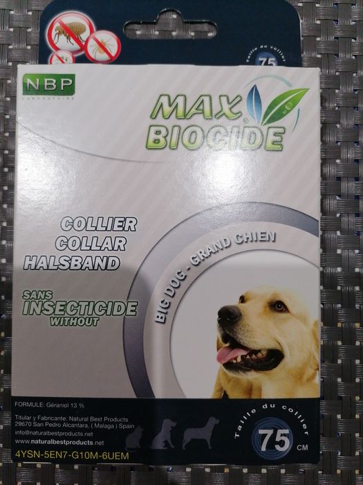 Coleira pulgas cão