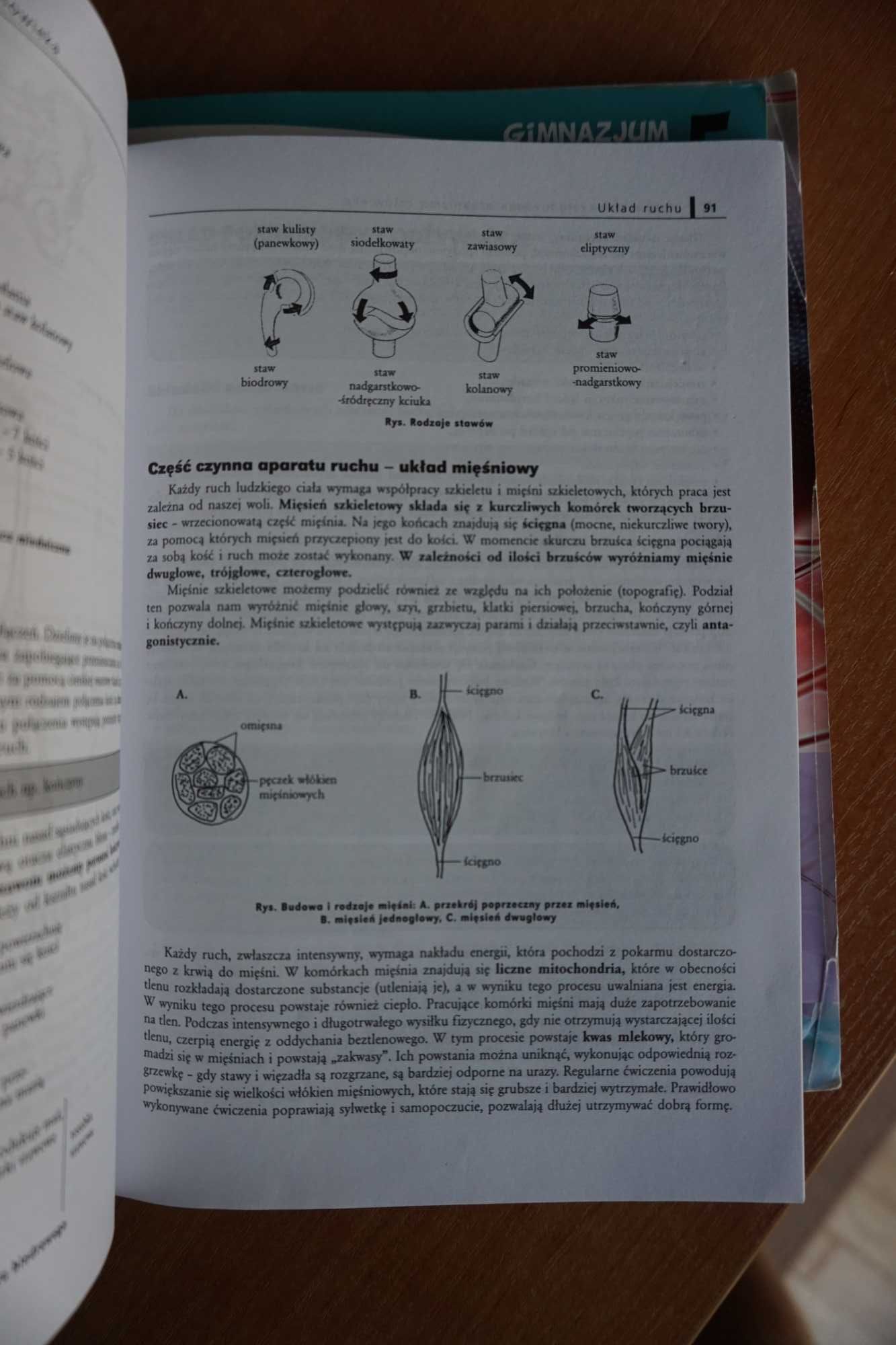 Repetytorium gimnazjalisty- Biologia/Chemia