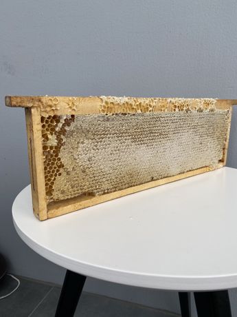 Стільниковий мед, мед в сотах з власної пасіки