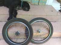 King Kong ,,Pirelli ,Monty,Trial kola vintage Bmx lata 80 ,wolnobieg
