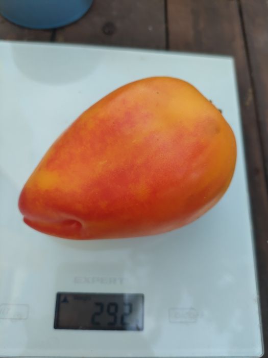 Набір колекційного насіння томатів " Калейдоскоп"