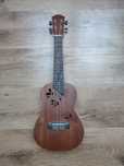 Ukulele z wzorem motyla