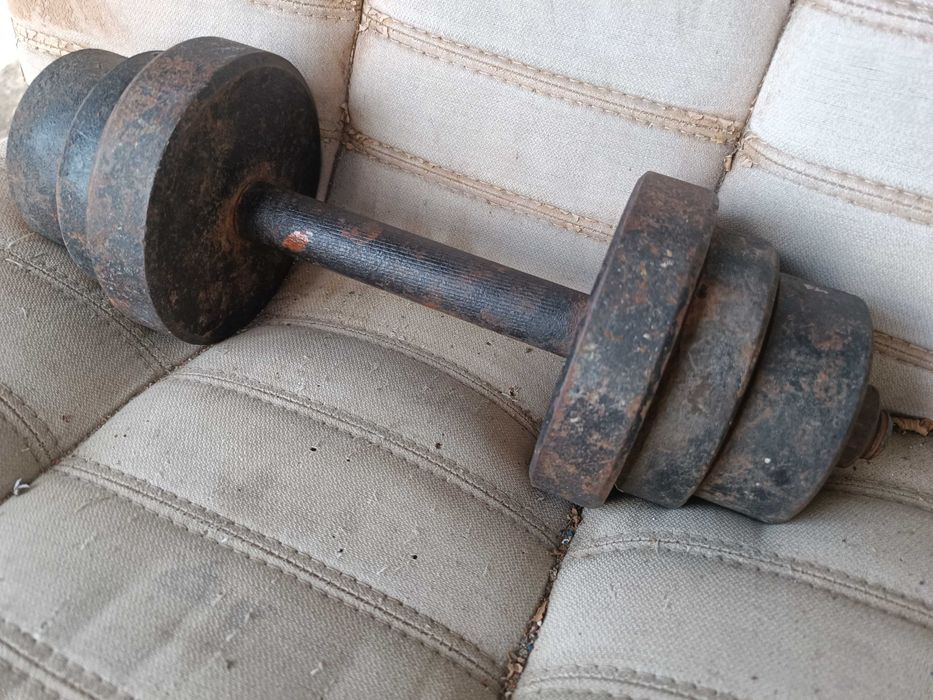 Гантели стальная 10 кг