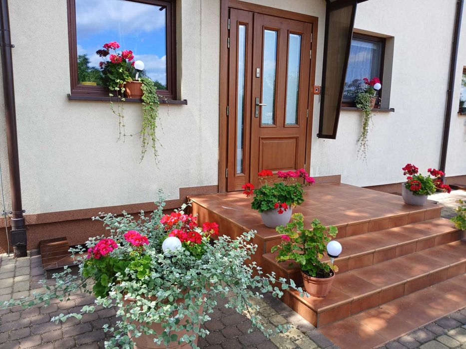 Domek całoroczny, apartament, pokoje, noclegi nad jeziorem