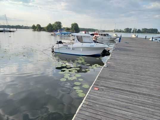 Łódź motorowa Quicksilwer PilotHouse 580 z silnikiem Mercury 80 KM