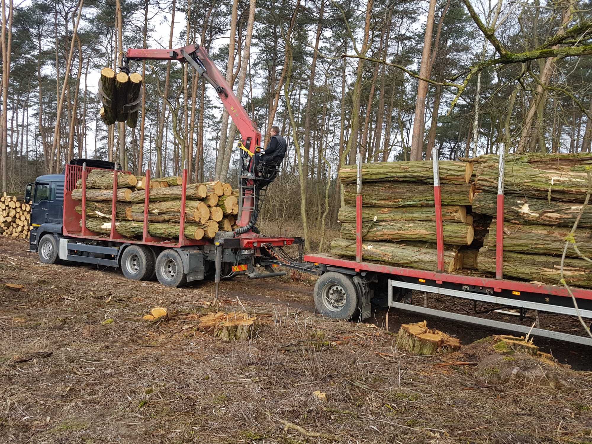 DrewKom Drewno kominkowe AKACJA kloda dl. 2,5m S2a S2b transport HDS