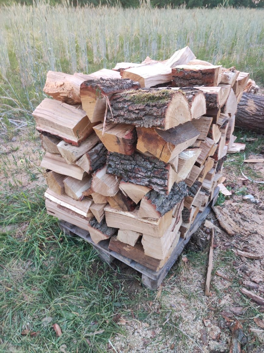 Drewno kominkowe buk dąb grab  brzoza sosna