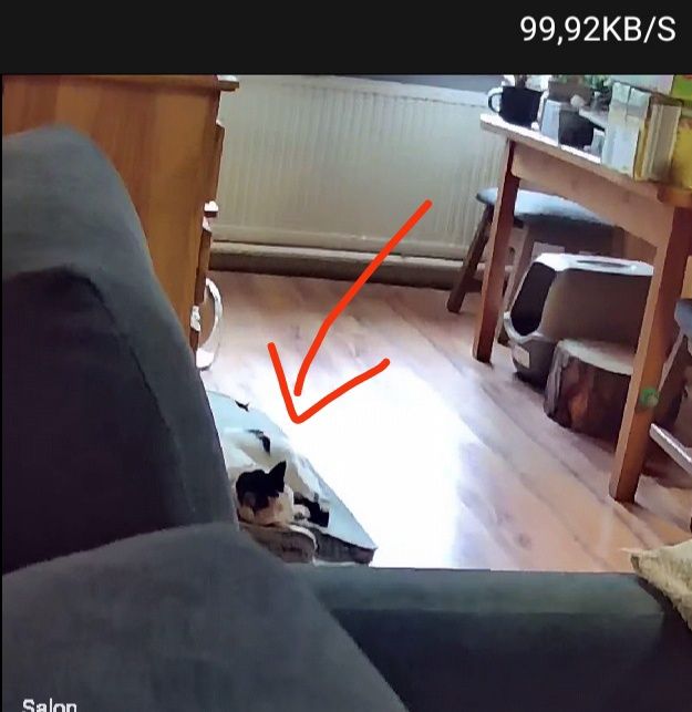 Kamera z ekranem dla dzieci, psów, kotów