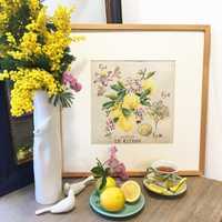 Лимоны / Citrons - ботаника V.Enginger