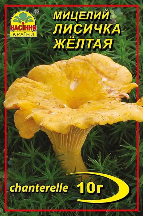 Мицелий грибов сухой