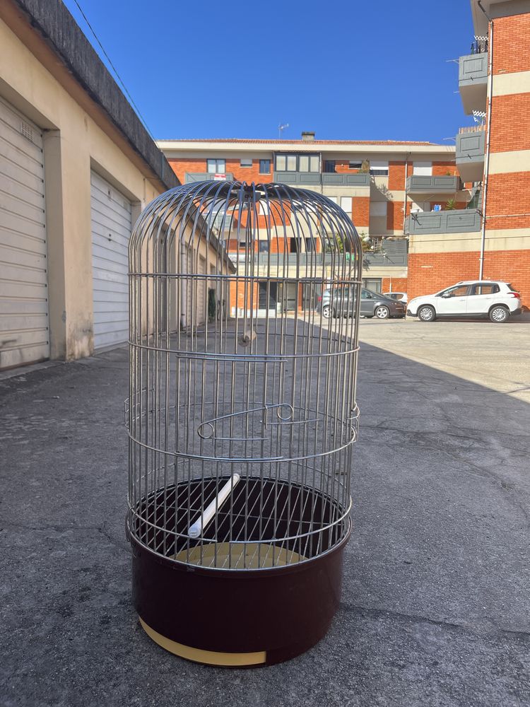 Gaiola de passaro