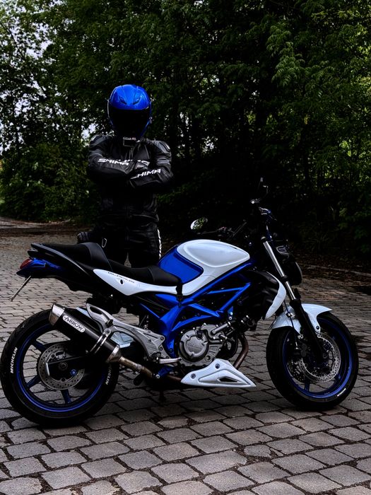 Suzuki sfv650 Gladius 650