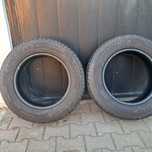 Opony 215/65R16C Goodyear Efficient Grip Cargo