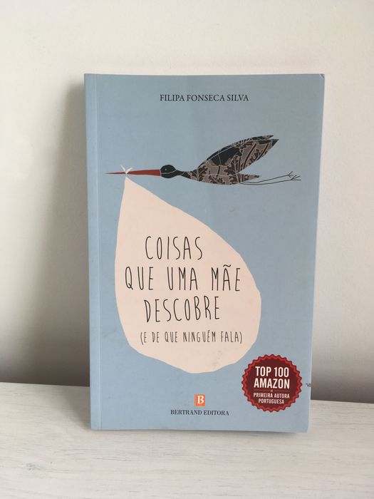 Livro "Coisas Que Uma Mãe Descobre"