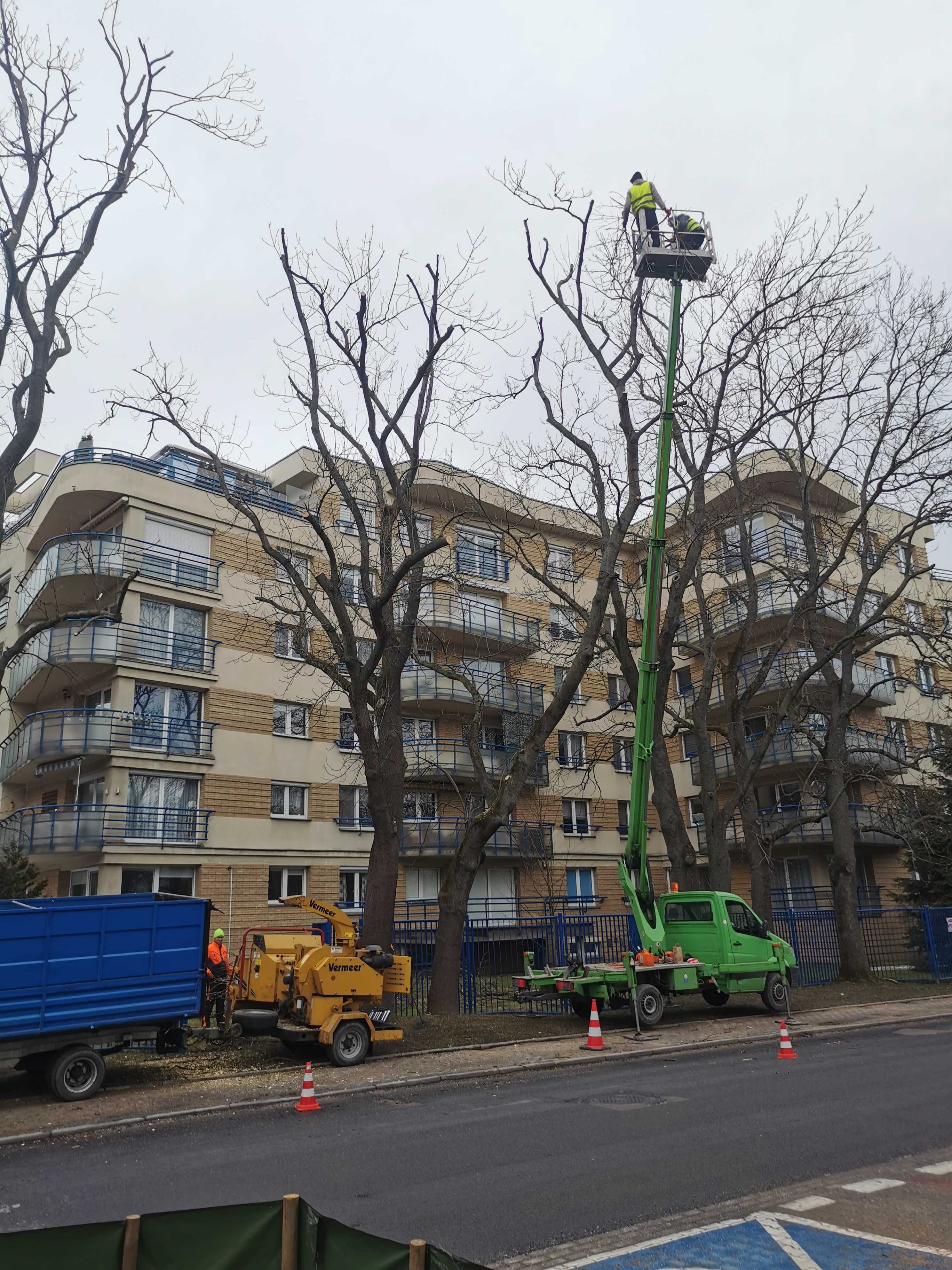 Kompleksowa wycinka drzew | Frezowanie karp, pni, korzeni