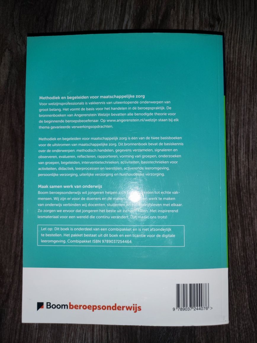 Książka po niderlandzku Methodiek en begeleiden voor maatschappelijke