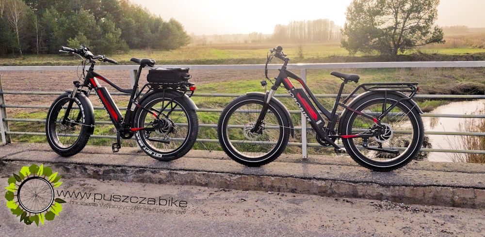 Wypożyczalnia Rower elektryczny MTB GIANT TALON JOBOBIKE ROBIN