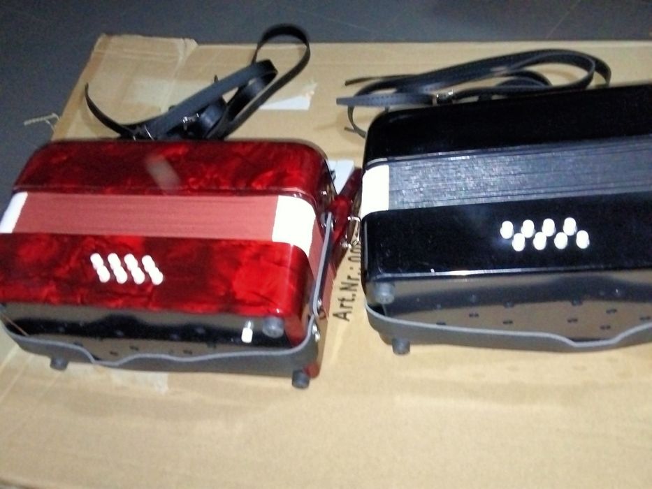 Beginner's Accordion64564183128321122