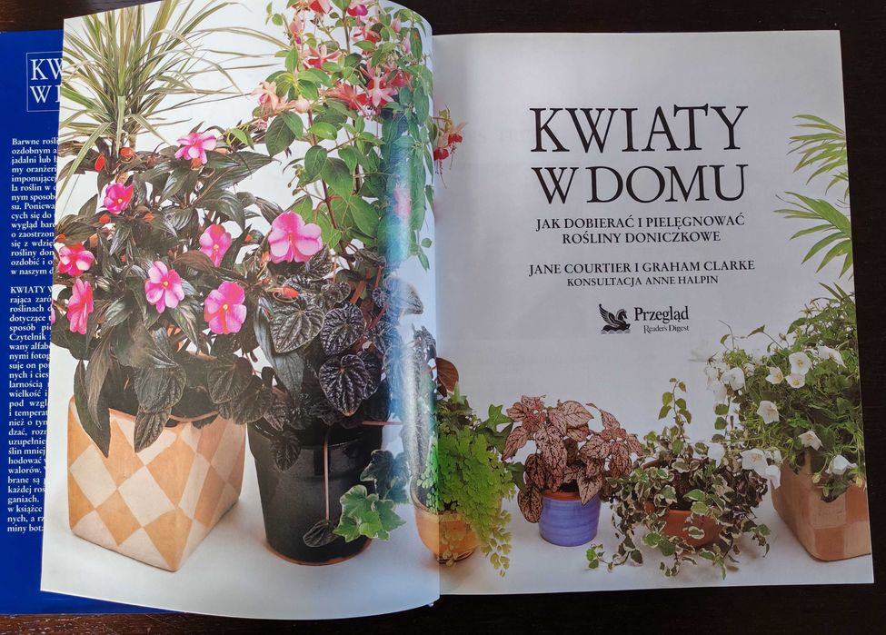 Kwiaty w domu Jak dobierać i pielęgnować rośliny doniczkowe stan bdb