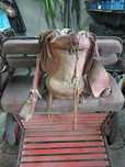 Charrua para pony e arreio para pony