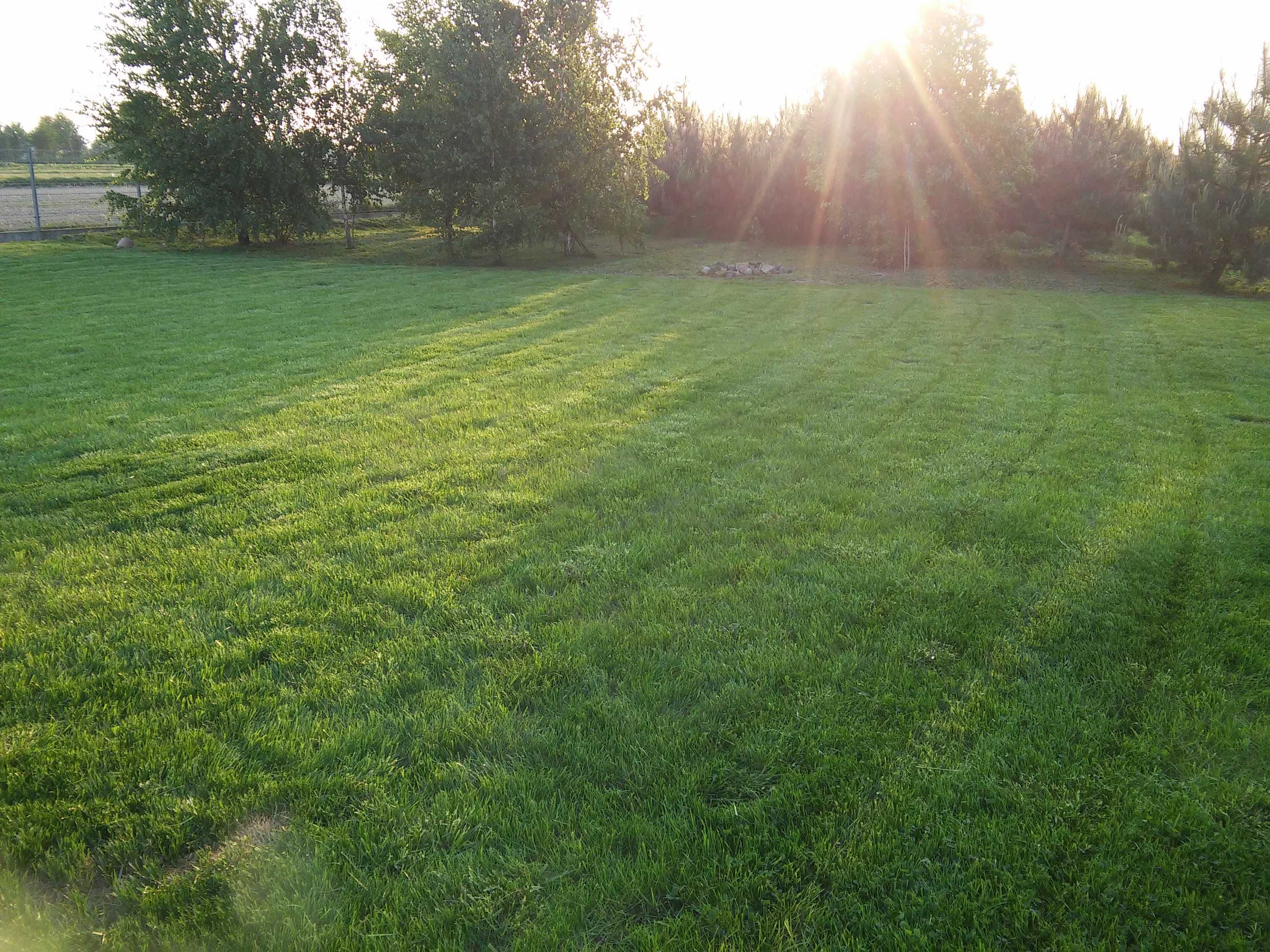 Koszenie trawy, trawników, nieużytków