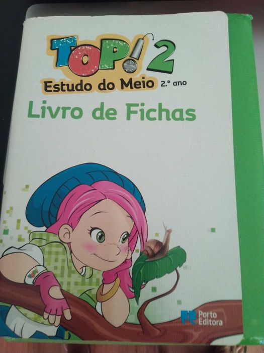 Livros de fichas 2o ano