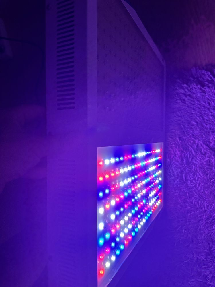 Фітолампа Ipower, led лампа для рослин