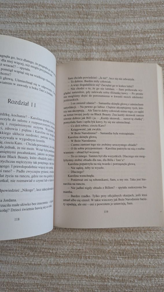 Danielle Steel - Palomino