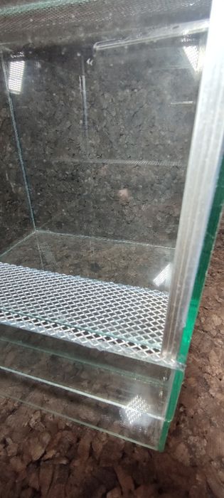 Terrarium szklane